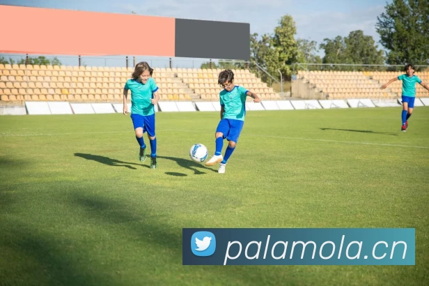 qy千亿 - 千亿(国际)唯一官方网站平台生态图